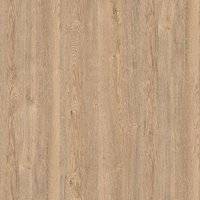 Dub-ekspresiv-pesochnyj